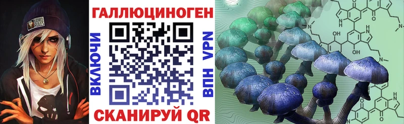 что такое   Наволоки  Псилоцибиновые грибы GOLDEN TEACHER 